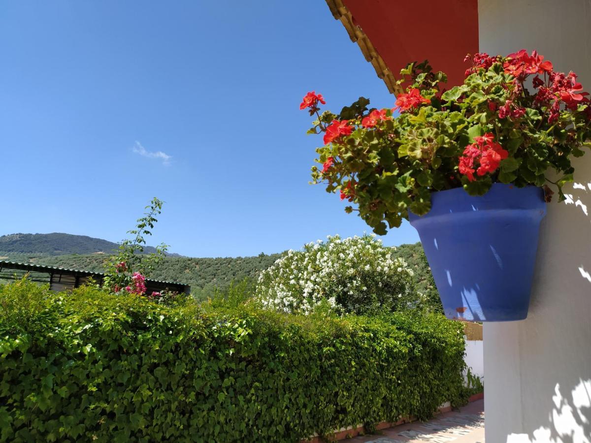 Villa Frasquita プリエゴ・デ・コルドバ エクステリア 写真