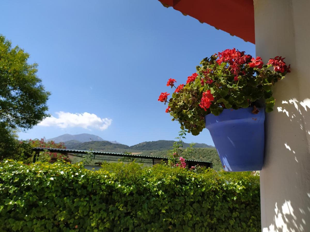 Villa Frasquita プリエゴ・デ・コルドバ エクステリア 写真